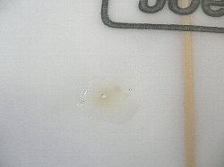 �|���G�X�e�� �{�g�� 10_1